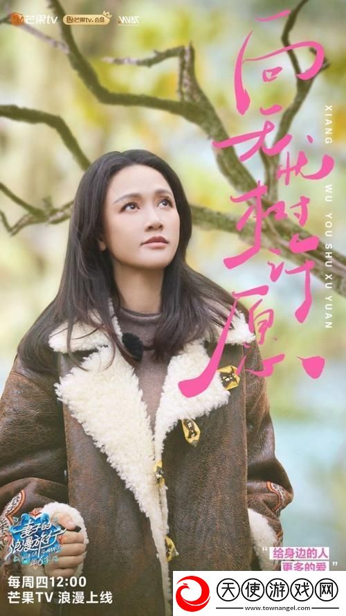 妻子6在线观看免费版电视剧
