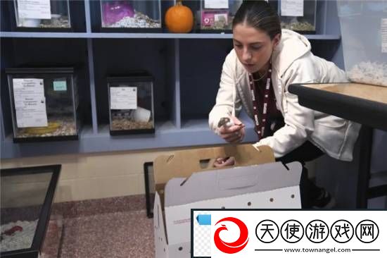 游你扯淡