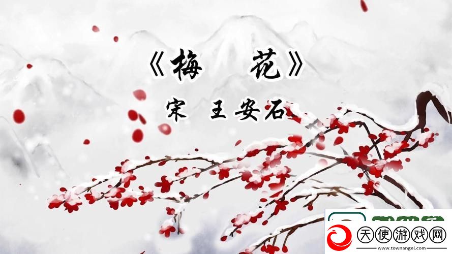 畅享梅花视频旧版本下载