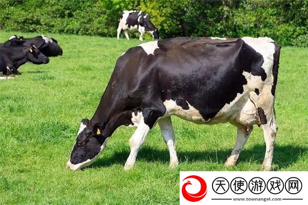 2024海龟汤题目和答案全套