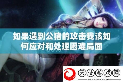 如果遇到公猪的攻击我该如何应对和处理困难局面