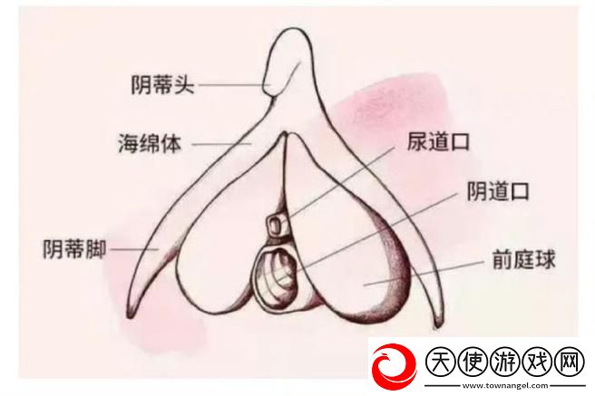 大荫蒂BBBBBB大荫蒂