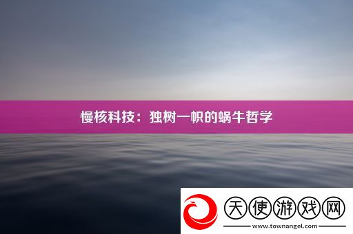 慢核科技
