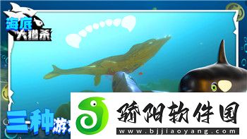 烟雨江湖佛法300攻略——提升战力与修行的必备指南