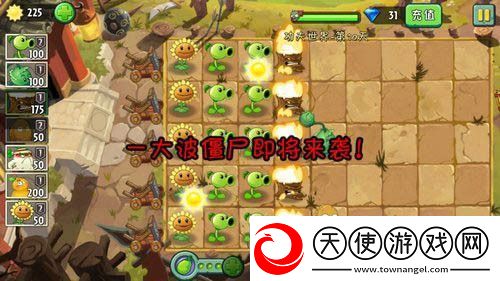 植物大战僵尸2功夫世界第十天攻略
