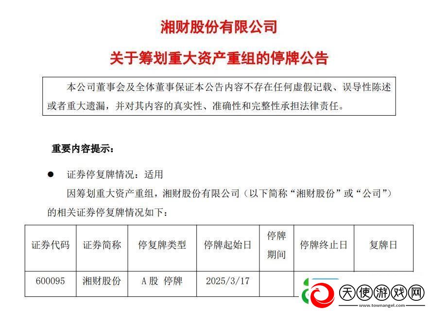 重大资产重组