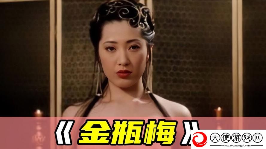 金花瓶楷梅花2播放