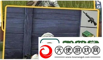 体验盐和避难所
