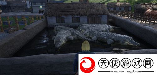 把家变成动物园