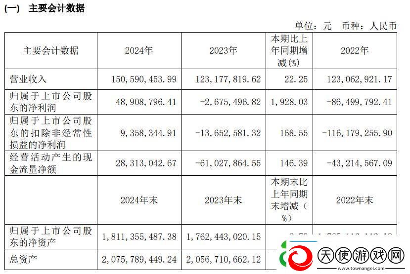中国高科2024年净利润4890.88万元