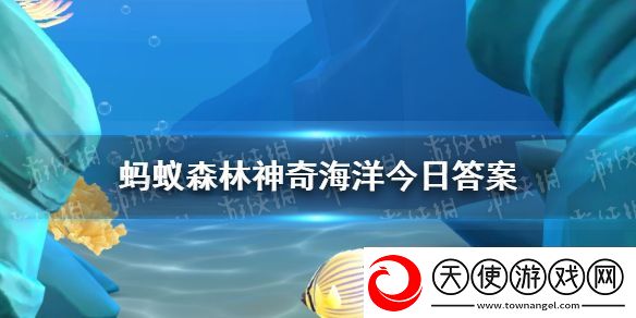 以下哪种海洋动物是大嗓门喜欢成群结队行动