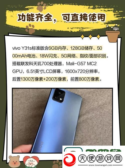 什么样的性能和质量才能称得上“一级成色好的y31s6标准版”