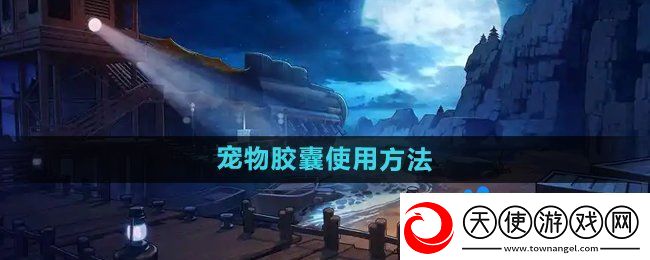 dnf宠物封印胶囊怎么使用
