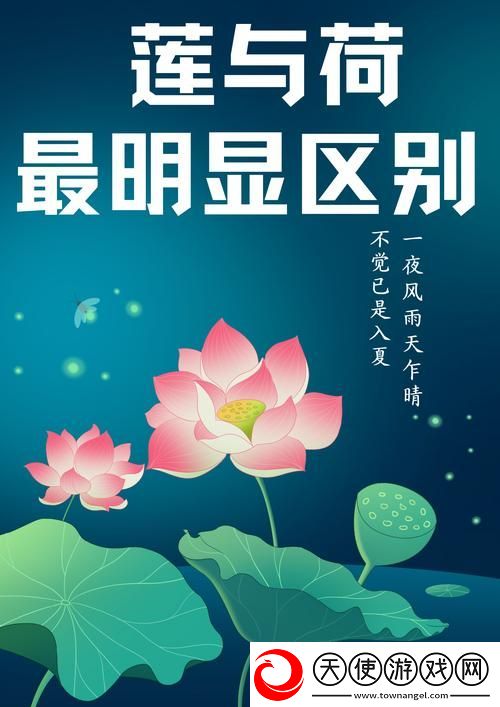 倒插莲花男女之间的寓意