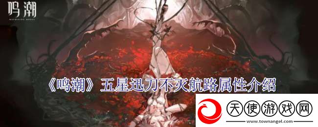鸣潮五星迅刀不灭航路有什么属性