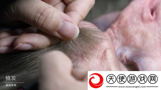 黑神话半身像幕后大揭秘！33800元