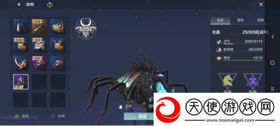 妄想山海什么宠物比较好