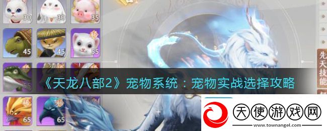 天龙八部2宠物系统