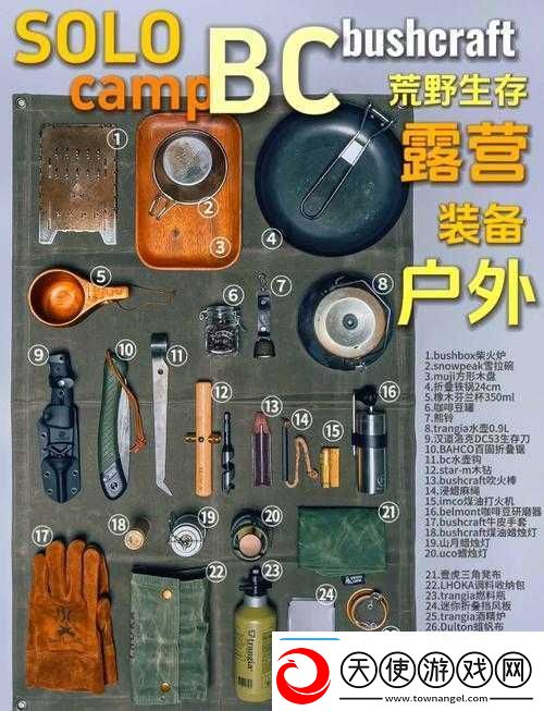 必看往日不再野外武器保存秘籍！90%玩家都不知道的生存诀窍