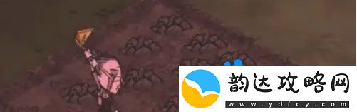 饥荒蜘蛛人怎么种地