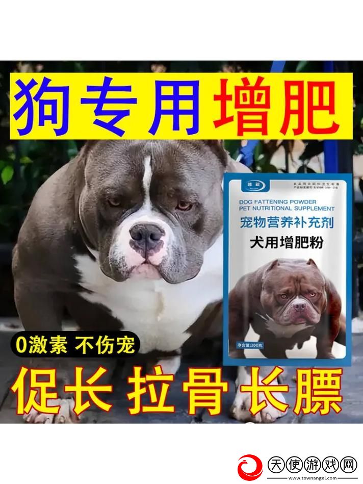 狗狗猛涨精肉狗大壮增肥增食欲
