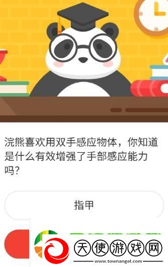 浣熊喜欢用双手感应物体