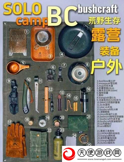 必看往日不再野外武器保存秘籍！90%玩家都不知道的生存诀窍