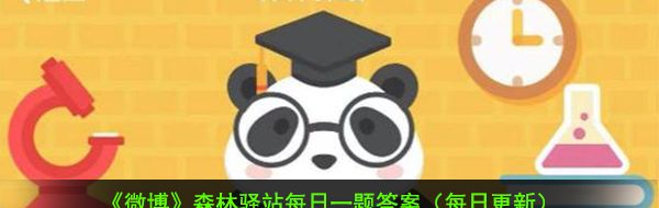 浣熊喜欢用双手感应物体
