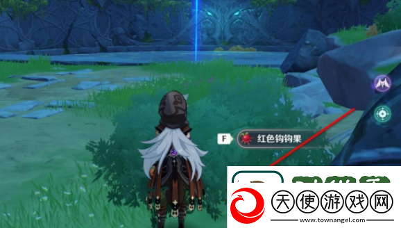 原神红色钩钩果位置大全