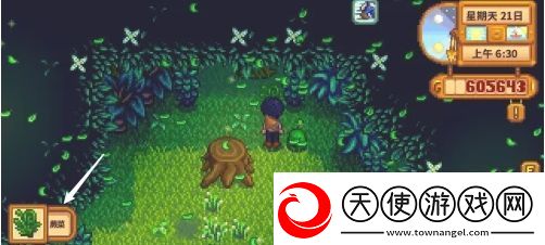 星露谷物语蕨菜怎么获取