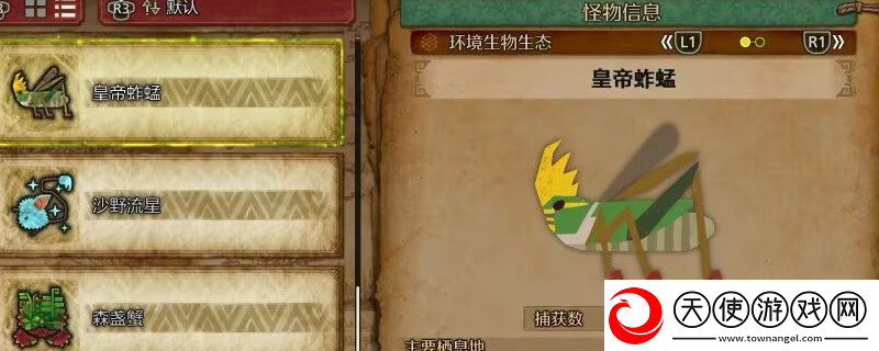 怪物猎人