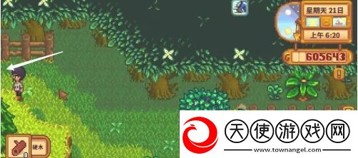 星露谷物语蕨菜怎么获取