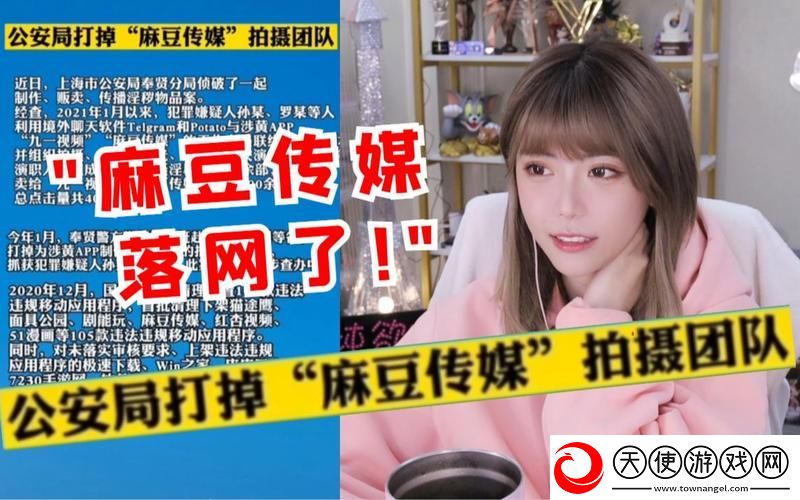 麻花豆传媒剧与国产MV