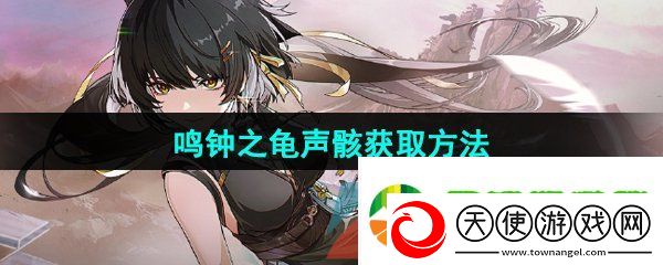鸣潮鸣钟之龟声骸怎么获取