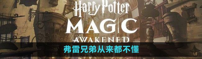 哈利波特魔法觉醒弗雷兄弟从来都不懂拼图位置在哪