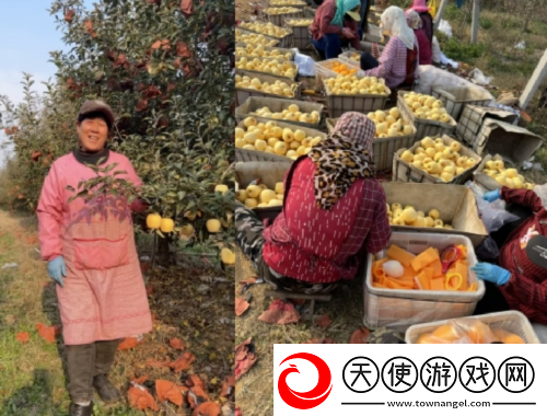 荒野迷城助农行动玩游戏做公益