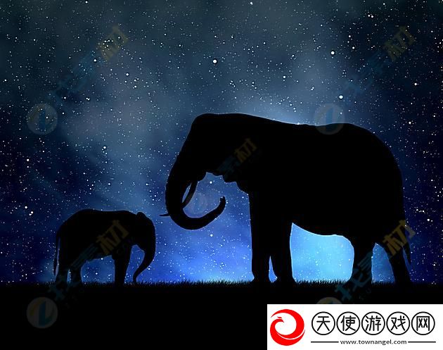 星空天美大象视频在线观看