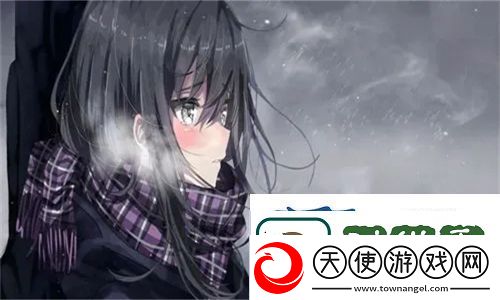 看一看成品站1688免费入口页版怎样帮您高效采购优质商品