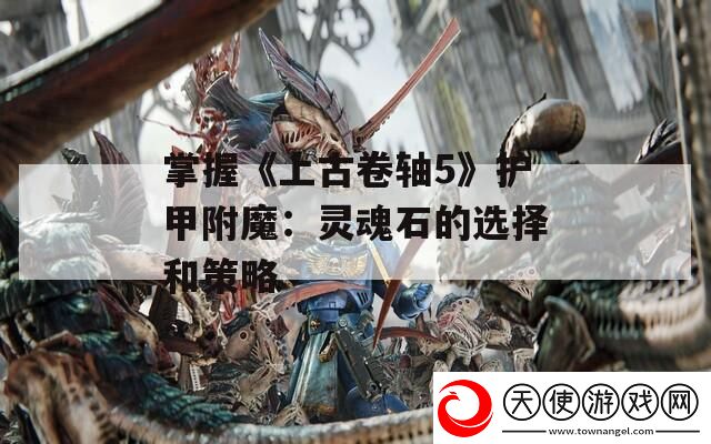 掌握上古卷轴5护甲附魔