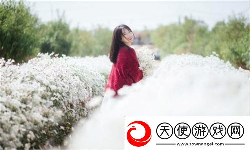 妻子6在线观看免费版电视剧