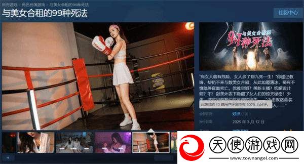 Steam100%好评