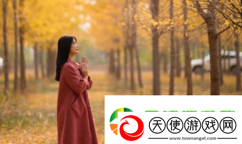 9.1免费版.apk