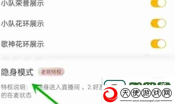 伊对怎么设置隐身模式