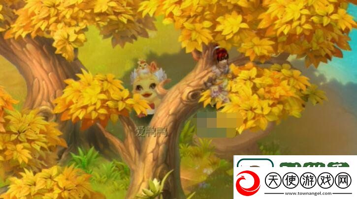 梦幻西游爱鸭鸭在哪