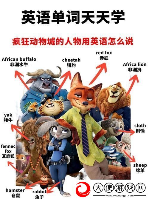 欧美动物人物PPT网友分享