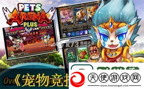 宠物竞技场玩法介绍