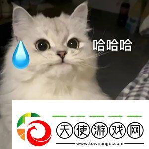 哦哈哟学妹是什么梗