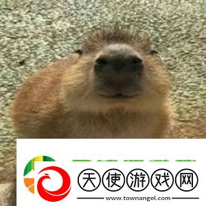 抖音水豚精神症状是什么梗