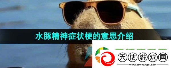 抖音水豚精神症状是什么梗