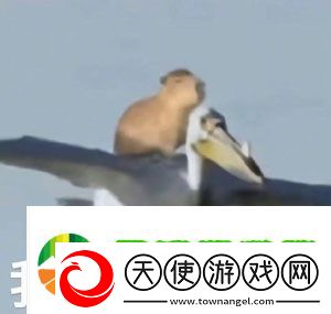 抖音水豚精神症状是什么梗